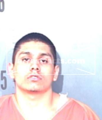 Robert Fitchett Jio