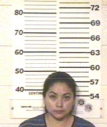 Anita Lara Villarreal