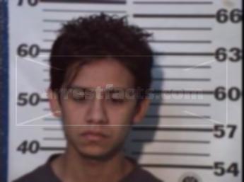 Rodolfo Gomez Mendoza