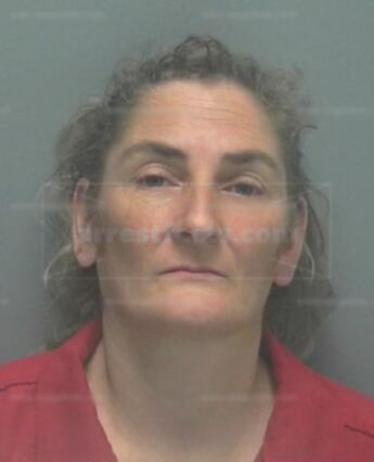 Cindy Ann Littlefield