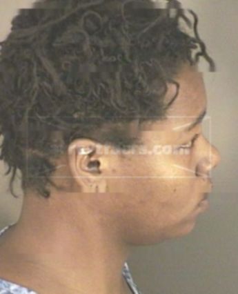 Tameka Terrel Fulton