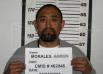 Aaron Morales