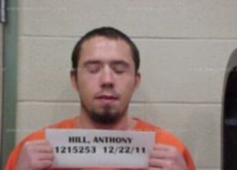 Anthony T Hill