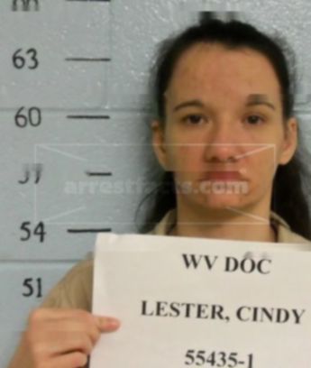 Cindy Jane Lester