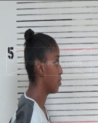 Michelle Laynnette Smith