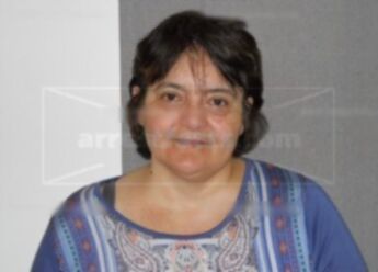 Leila O Horowitz