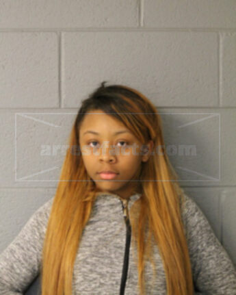 Brittnee J Tinsley