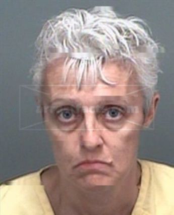 Susan Metcalfe Newkirk