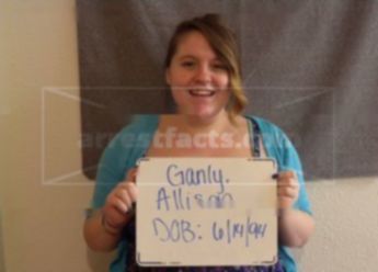 Allison M Ganley