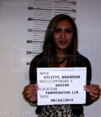 Brandon Etcitty