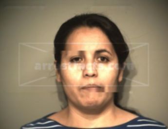 Ma Carmen Vasquez Acuna