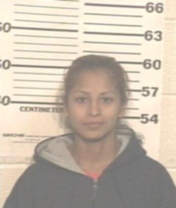 Cynthia Ann Guerrero Ramirez