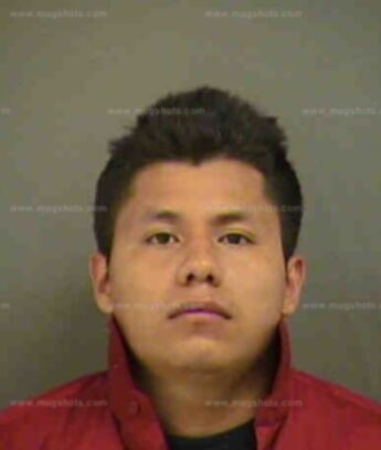 Luis Leal Flores