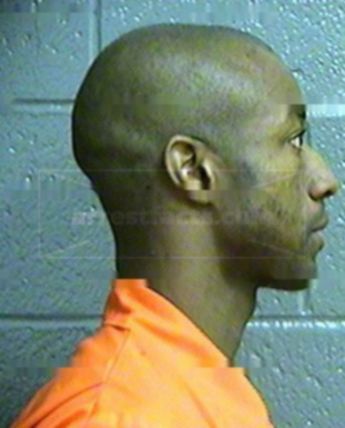Michael M Dillard