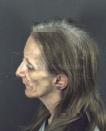 Rosemary P Daudelin