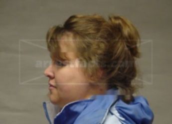 Tammy L Noye